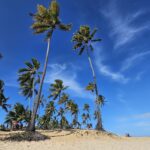 Maria Fernanda Guerfal